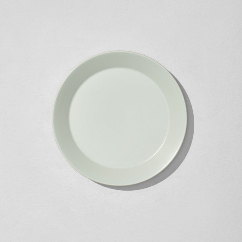 Overhead view of mint dinner plate